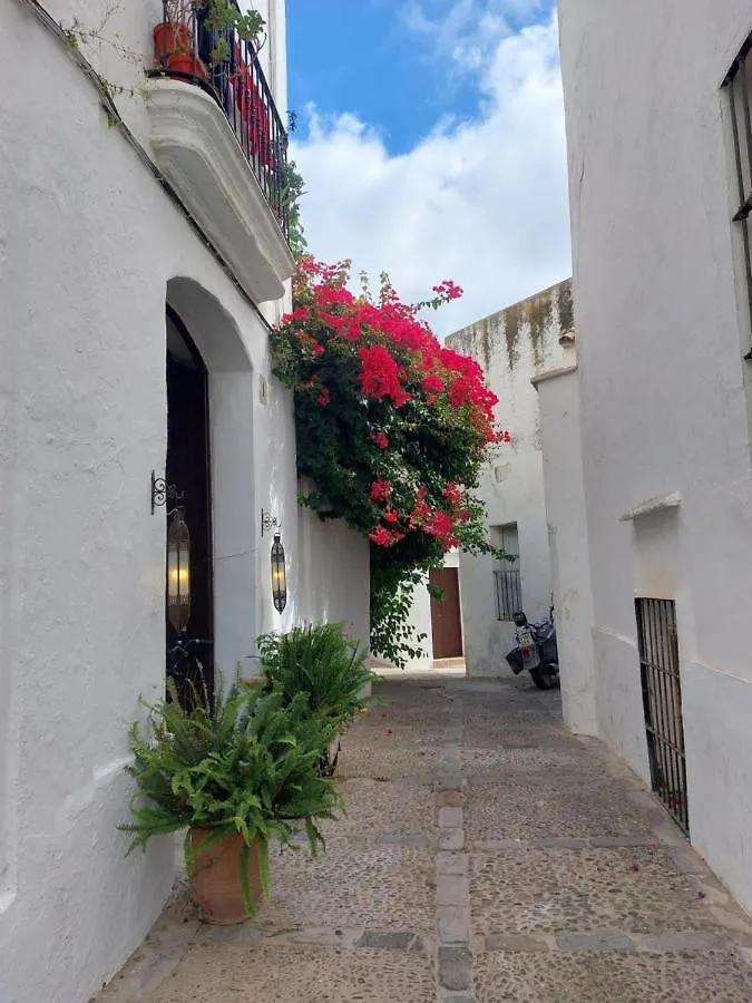 Pura Vida Vejer Apartment Vejer de la Frontera